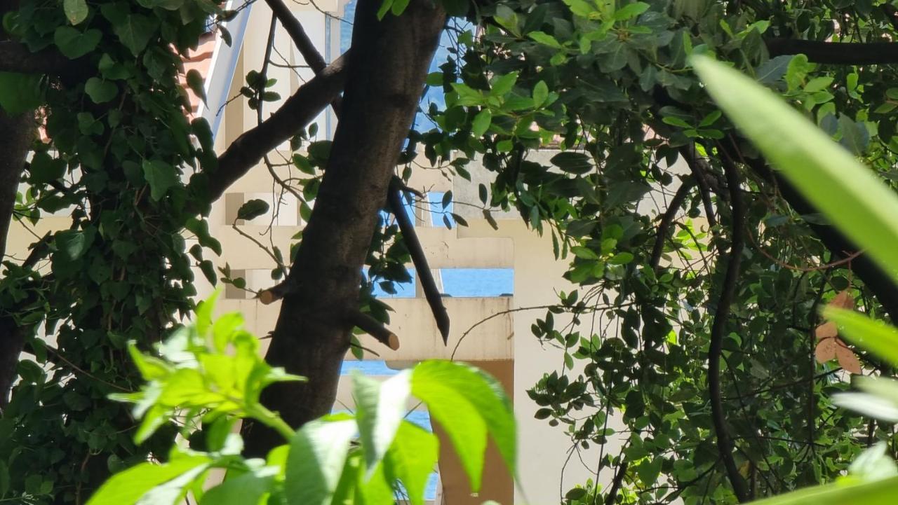 Apartment Savina ヘルツェグ・ノヴィ エクステリア 写真