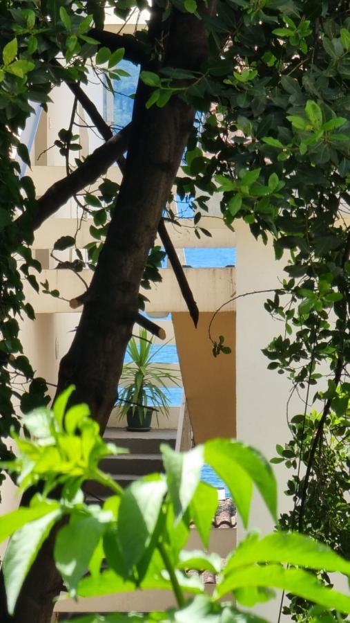 Apartment Savina ヘルツェグ・ノヴィ エクステリア 写真